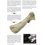 Rock n Gem Magazine Issue 65 Emag Version