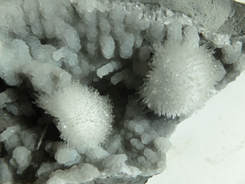 DSCF4146